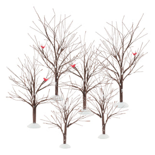 Bare Branch Trees s/6