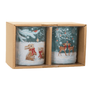 Box of Winter Wonders Containers