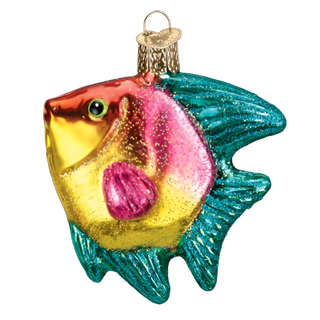 Pink/Yellow Tropical Angelfish