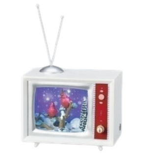 Snowfall Cardinal TV