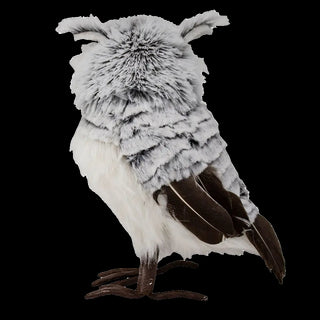 Gray White Standing Owl