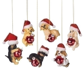 Santa Dog w Ornament 6a