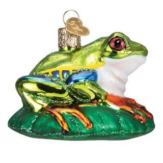 Red-Eyed Tree Frog