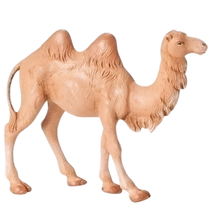 Camel