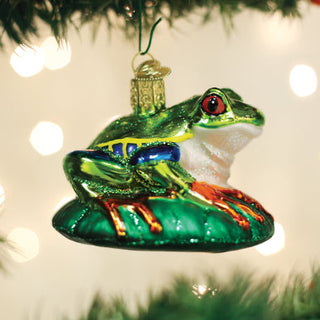Red-Eyed Tree Frog