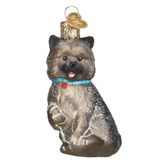 Cairn Terrier