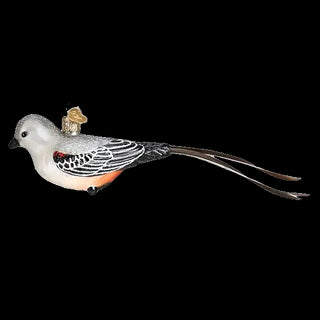 Scissor Tailed Flycatcher