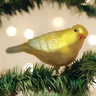 Canary