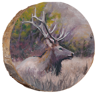 Elk Sitting EP