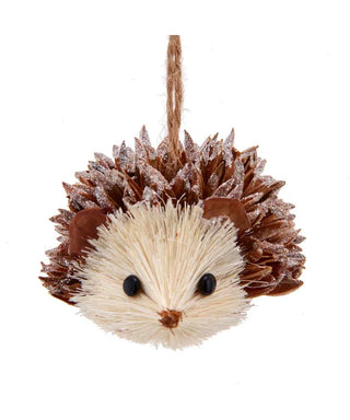 RC Hedgehog