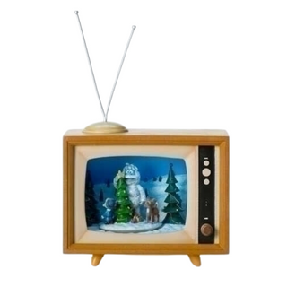 Rudolph TV