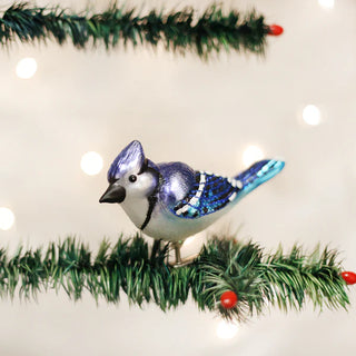 Bright Blue Jay