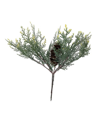 Cedar Pine With Cone Pick