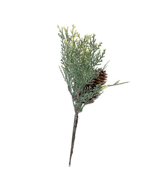 Cedar Pine With Cone Pick