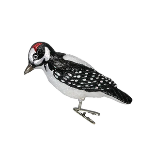 Hairy Woodpecker