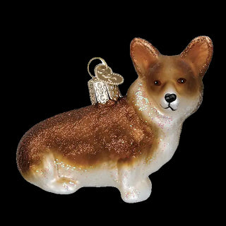 Pembroke Welsh Corgi