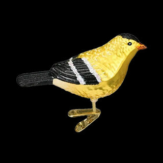 American Goldfinch