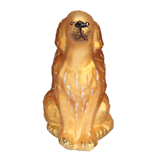 Sitting Golden