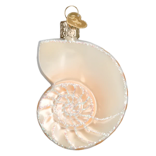 Nautilus Shell