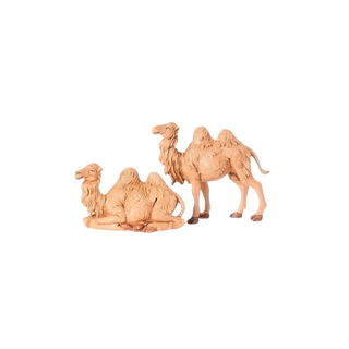 3.5'' Camels S2