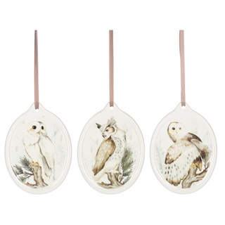 Winter Owl Ornaments