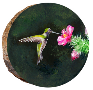 Hummingbird Estes Park