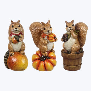Resin Squirrel, 3 Ast.