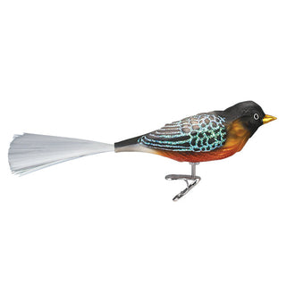 Robin