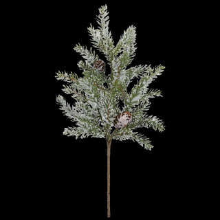 White Spruce Pik