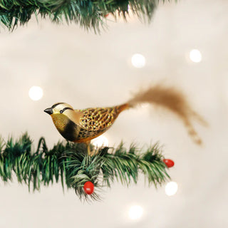 Meadowlark