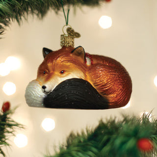 Cozy Fox