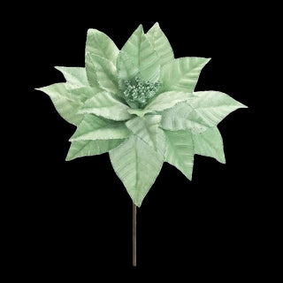 Poinsettia Pik Green