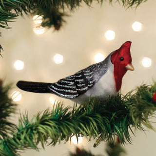 Red-Crested Cardinal