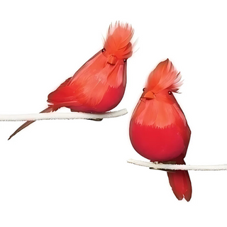 Clip On Red Feather Bird 2a