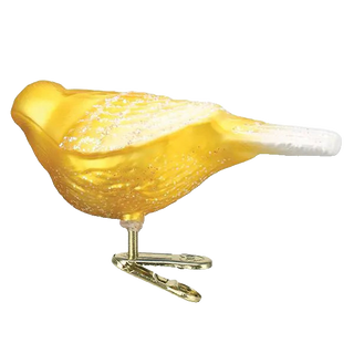 Canary