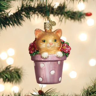 Kitten In Flower Pot