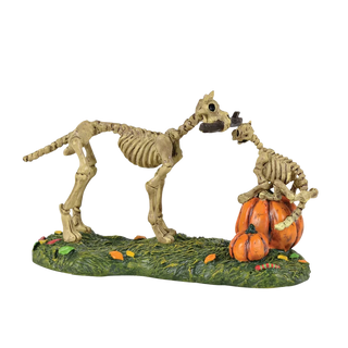 Haunted Pets At Play