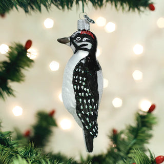 Hairy Woodpecker