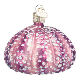 Purple Sea Urchin