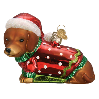 Dashing Dachshund Puppy