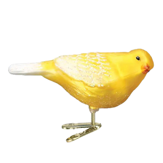 Canary