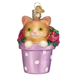 Kitten In Flower Pot