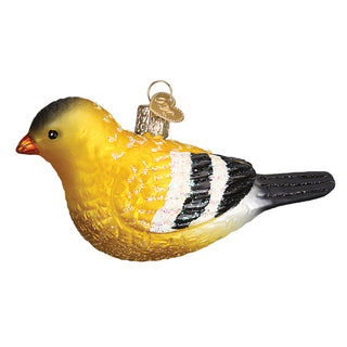 American Goldfinch